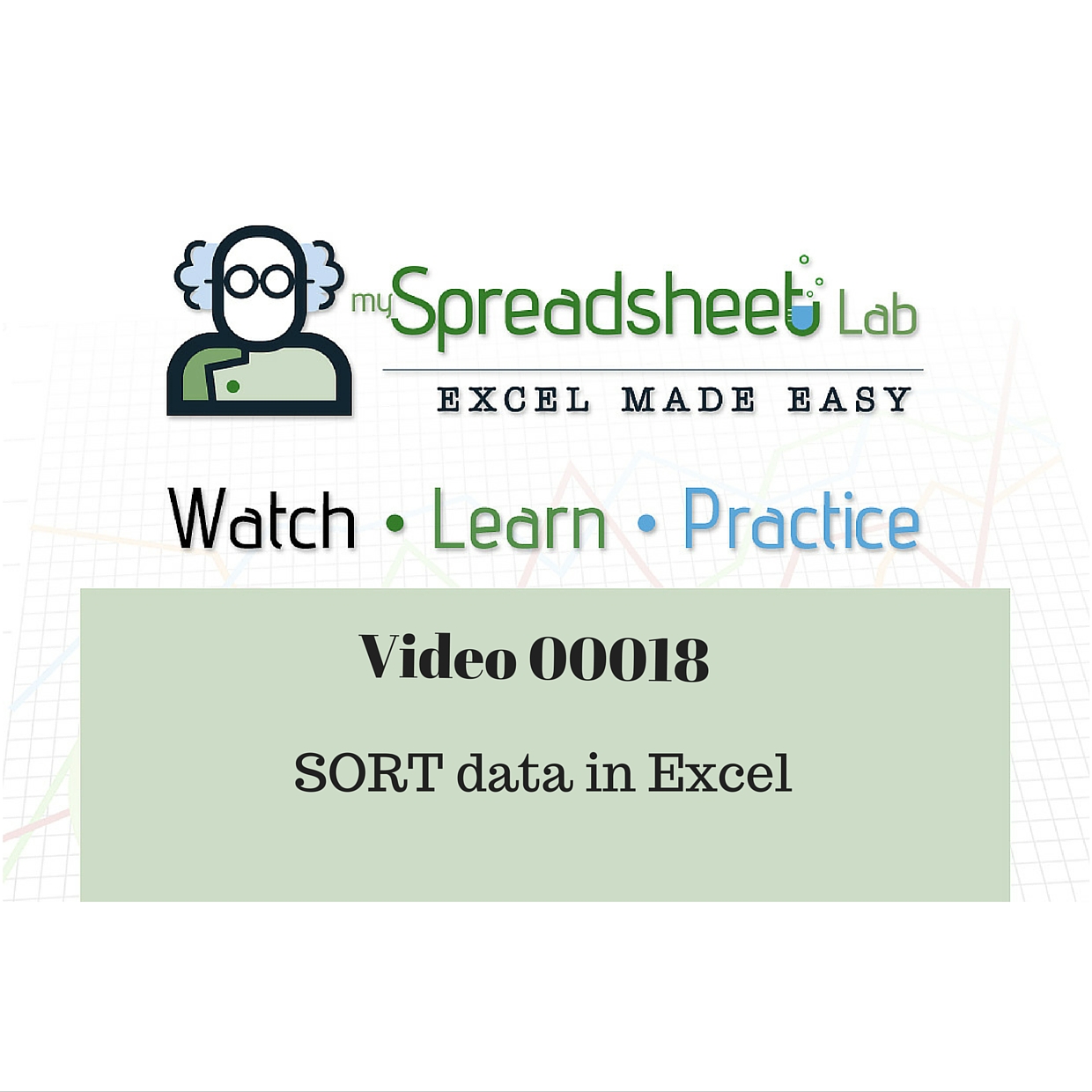 Video 00018 SORT_DATA in Excel