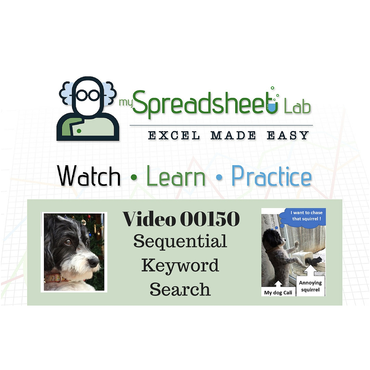 Video 00150 Sequential Keyword Search Dog Chases Squirrel
